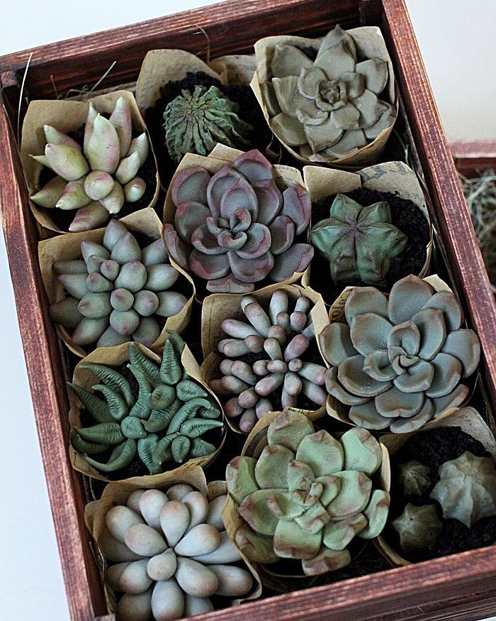 A box of cupcakes that are topped with hyper realistic gumpaste succulents in muted shades of green with touches of purple