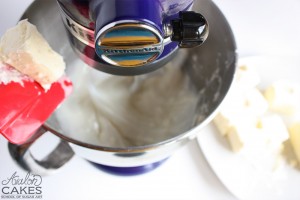 vanilla in a mixer