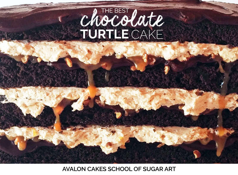best-caramel-turtle-chocolate-cake-ever-decilous-easy-pecans-yum-yummy
