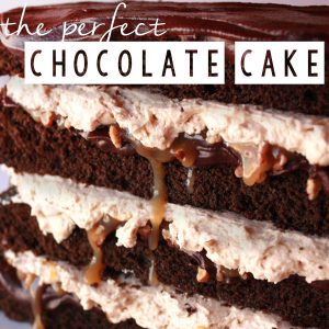 best-chocolate-cake-recipe-perfect-choc